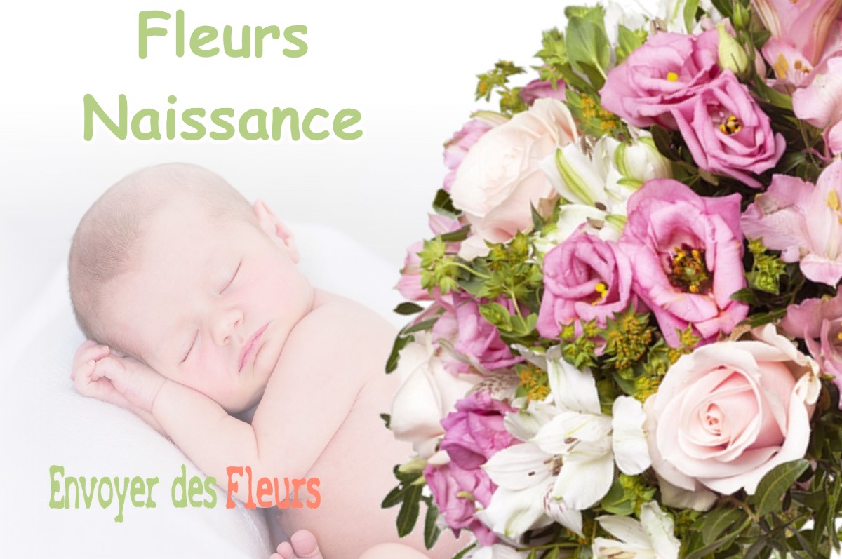 lIVRAISON FLEURS NAISSANCE à TOURRETTE-LEVENS